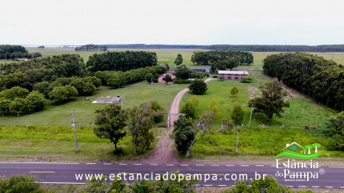 INICIO GADO TOP.00_00_42_15.Quadro011_02167b588745b0a435034250cadde4b977e12ebd.jpg